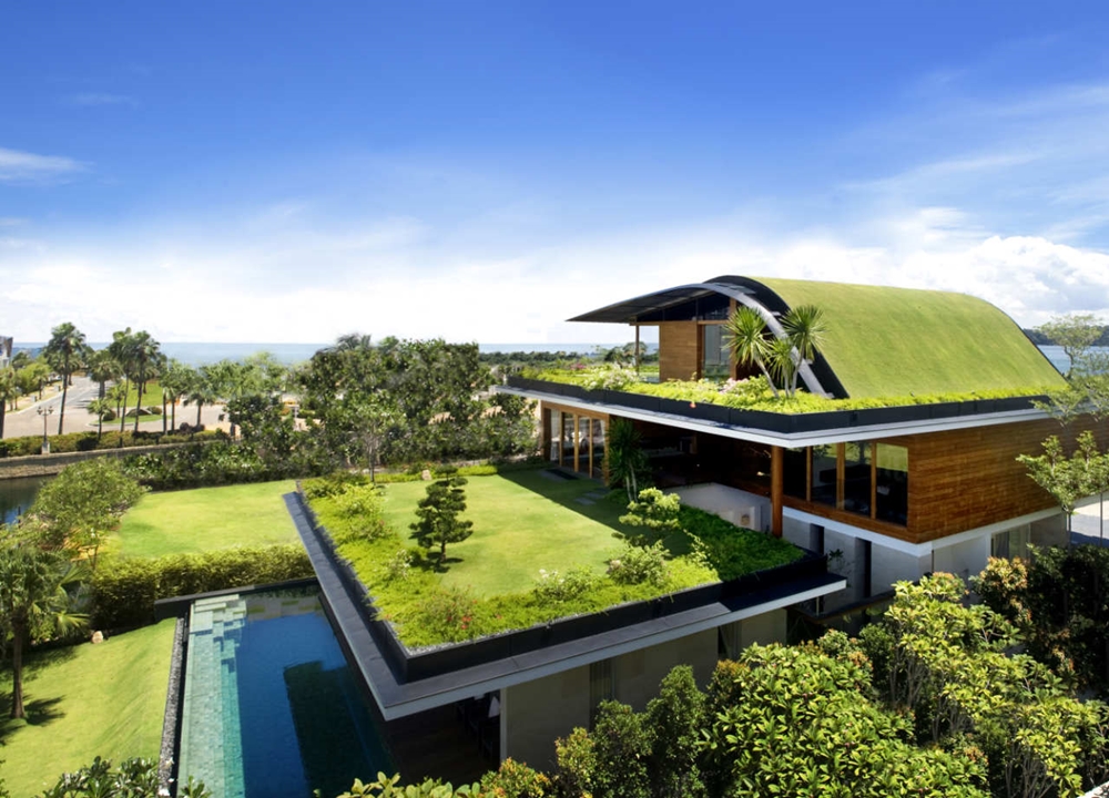 Home with green roofs